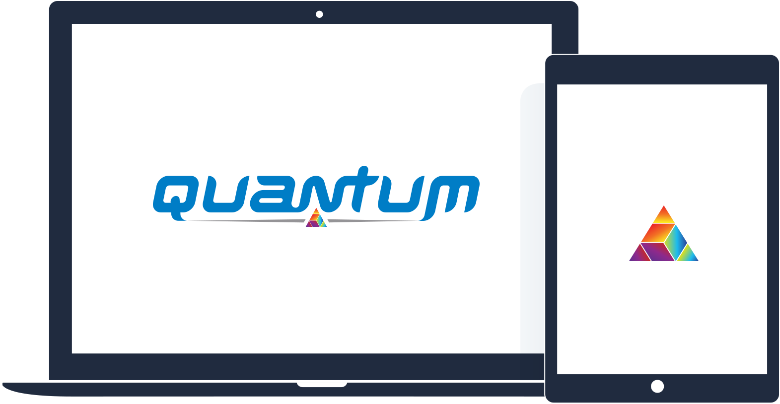 Explore Everything DIS Quantum Has to Offer at Your Own Pace