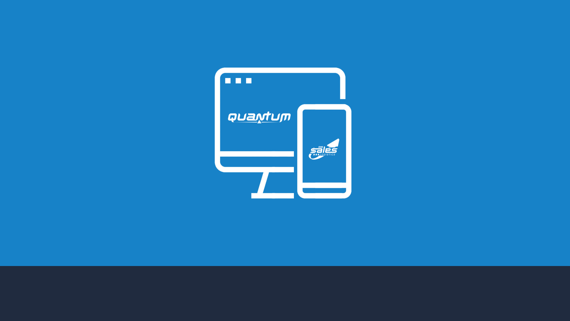 DIS Quantum Product Tour